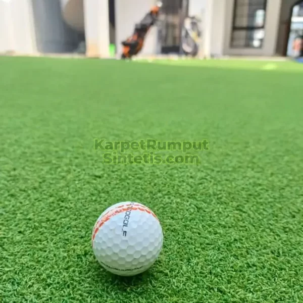 Rumput Golf Premium - Karpet Rumput Sintetis 3